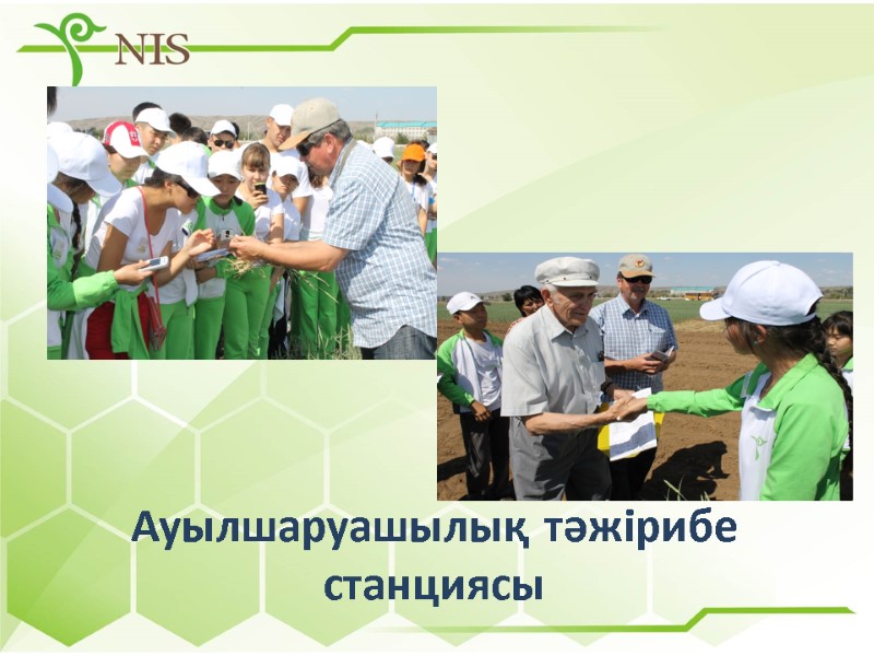 Ауылшаруашылық тәжірибе станциясы